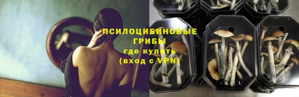 твердый Абинск