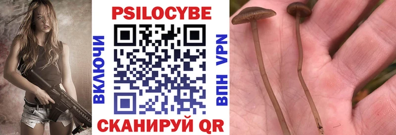 KRAKEN вход  Гдов  Псилоцибиновые грибы Psilocybine cubensis 